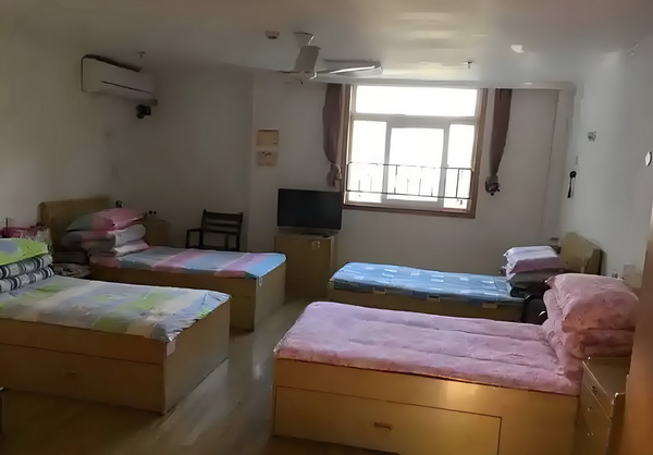 重生之拾遗补憾